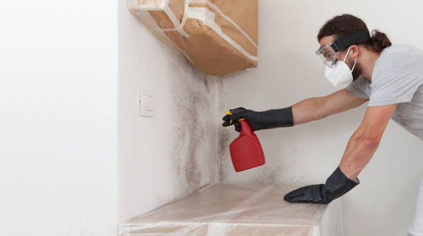 Professional Crawl Space Mold Remediation technician working in Shelbyville, IL